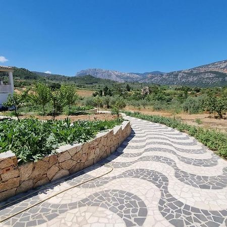 Villa Biriculi Dorgali Exterior foto